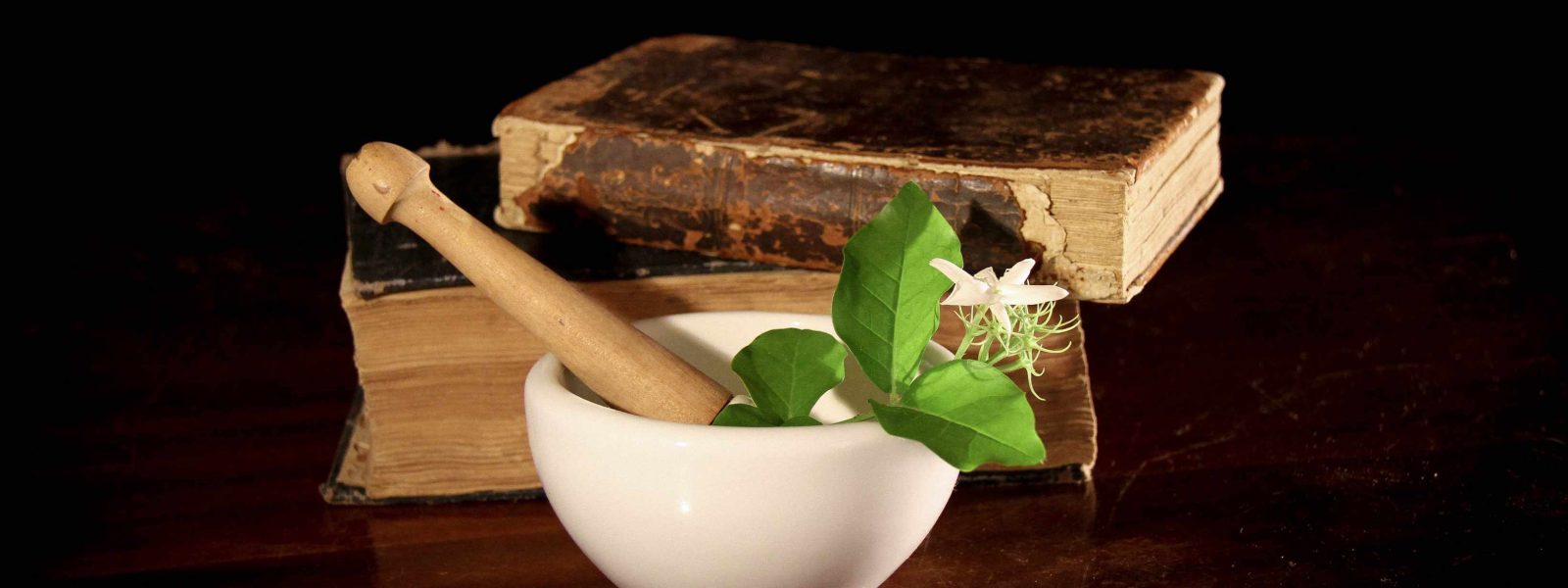 old books, herbs, pestle and mortar