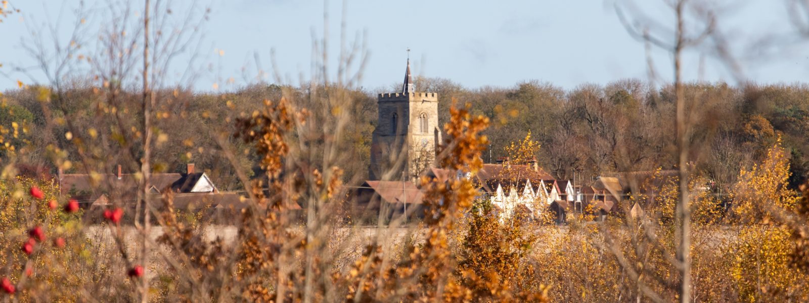 Image of a rural village behind old foliage