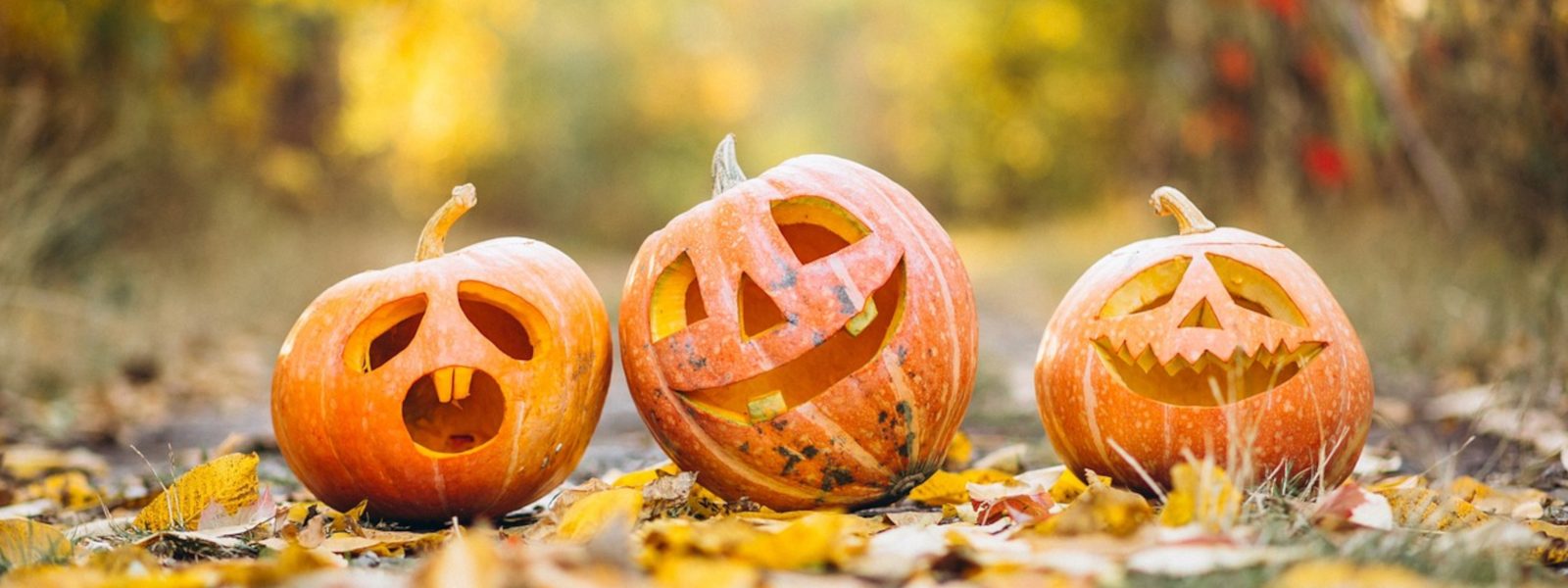 three happy pumpkins on a woodland path