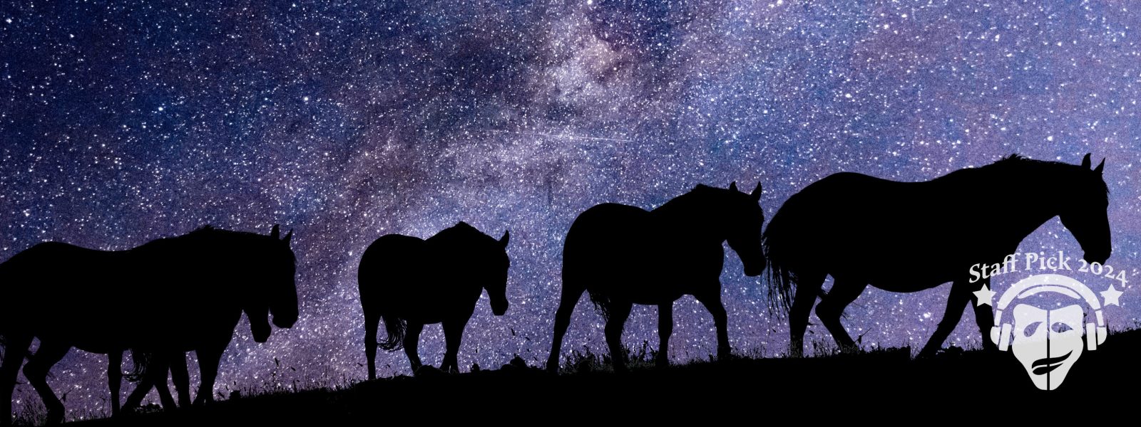 silhouetted horses against a backdrop of the starry sky