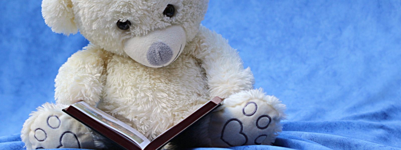 teddy bear reading a book, against a light blue background