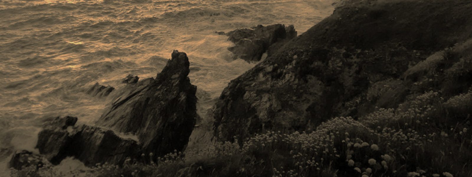 West Pentire headland, in sepia tones, with thrift in the foreground and waves crashing against the rocks