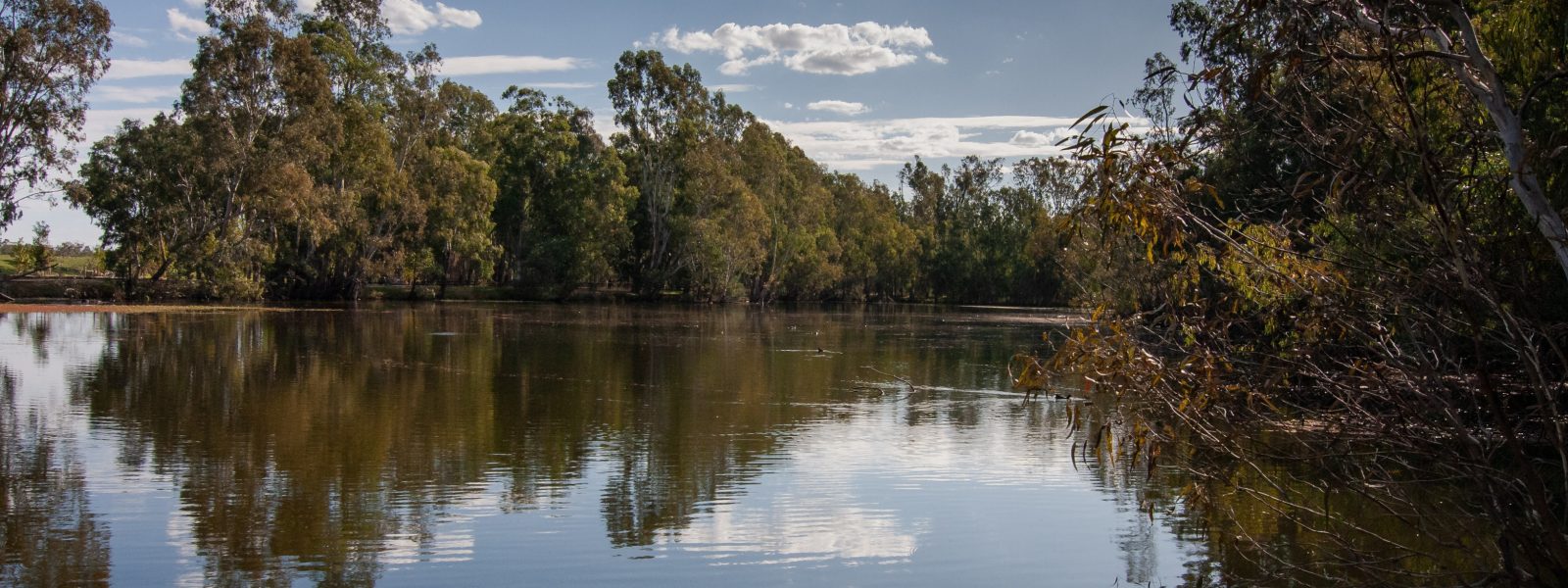 Australian Billabong